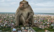 Monyet Mengakibatkan Pembelajaran secara Daring