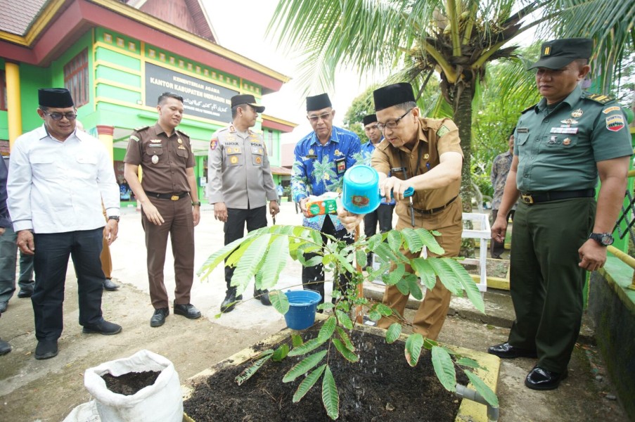 Tingkatkan Sinergitas,Pemda Inhil ikut berpartisipasi dalam Gerakan Tanam 1 Juta Pohon Matoa