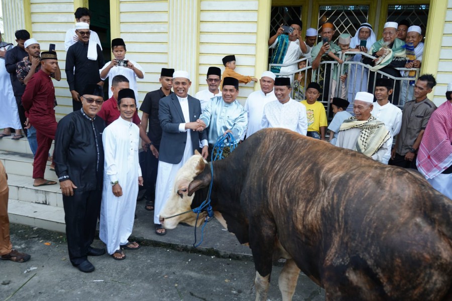 Bupati Inhil Serahkan Hewan Kurban Dari Presiden RI