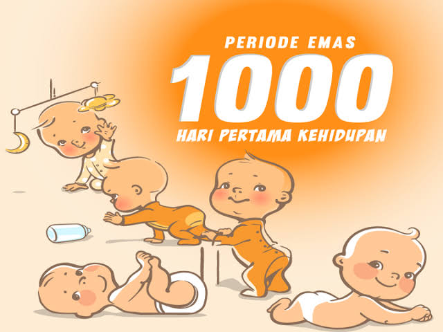 Pentingnya Konsep Stunting Dan 1000 HPK