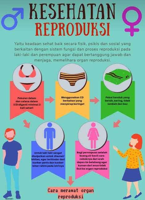 Kesehatan Reproduksi Sangat Penting Bagi Remaja Dengan Hal Positif