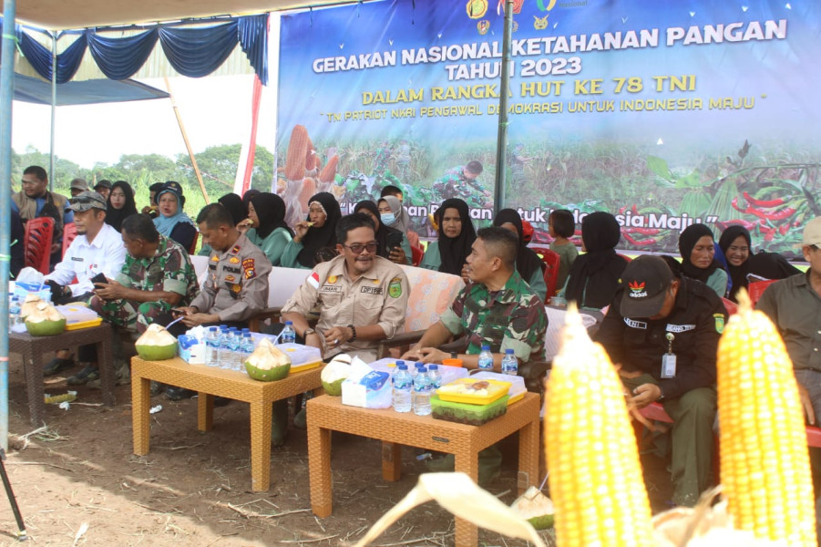 Sukseskan Gerakan Nasional Ketahanan Pangan,Kodim 0314/Inhil Gelar Panen Raya