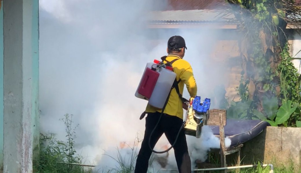 6 Meninggal Dunia Terserang DBD, Dinkes Inhil Terus Lakukan Fogging