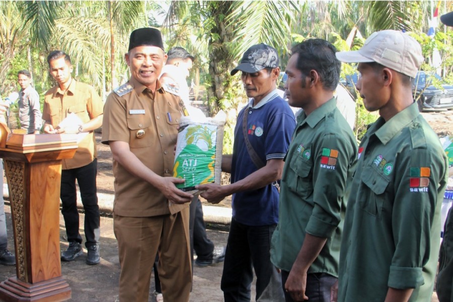Bupati Inhil H. Herman Canangkan Tanam Perdana Padi Gogo di Lahan PSR: Optimalkan Lahan Sawit Jadi Sumber Pangan Baru