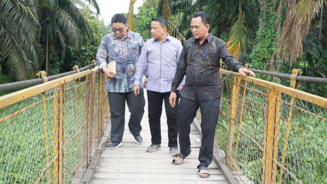 Dani M Nursalam Tinjau Jembatan Gantung di Kecamatan Kemuning