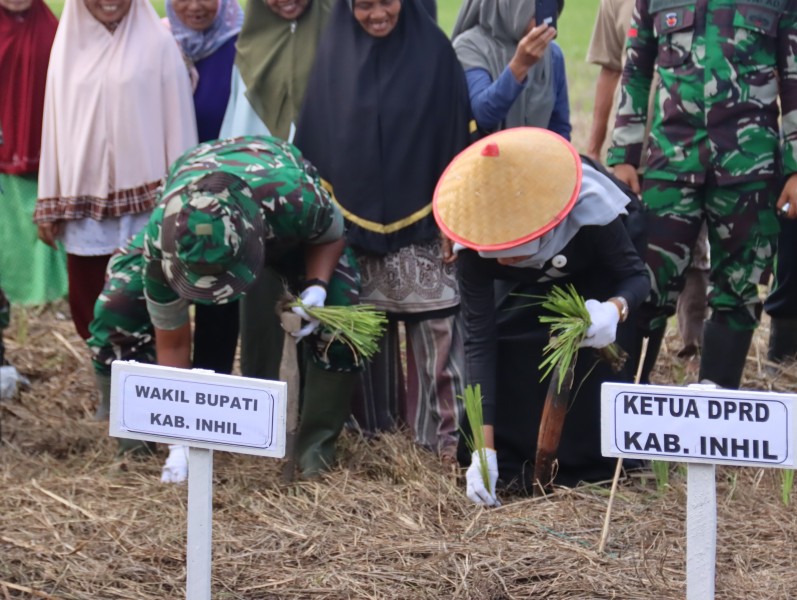 Pemkab Inhil Gelar Penanaman Padi Serentak di Tempuling
