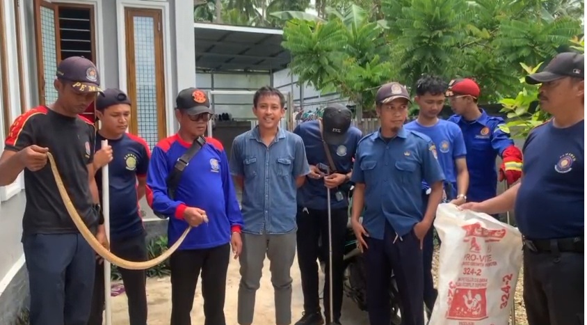 Tim DPKP Inhil Berhasil Menangkap Seekor Ular Kobra, Masyarakat Ucapkan Terima kasih