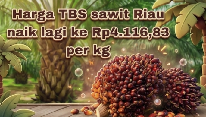 Harga TBS sawit Riau naik lagi ke Rp4.116,83 per kg