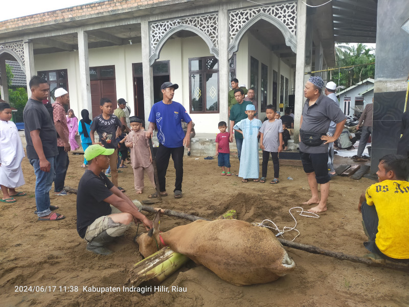 Surau Al Magfirah  Sembelih  Tiga  Ekor Sapi dan Dua Kambing Kurban