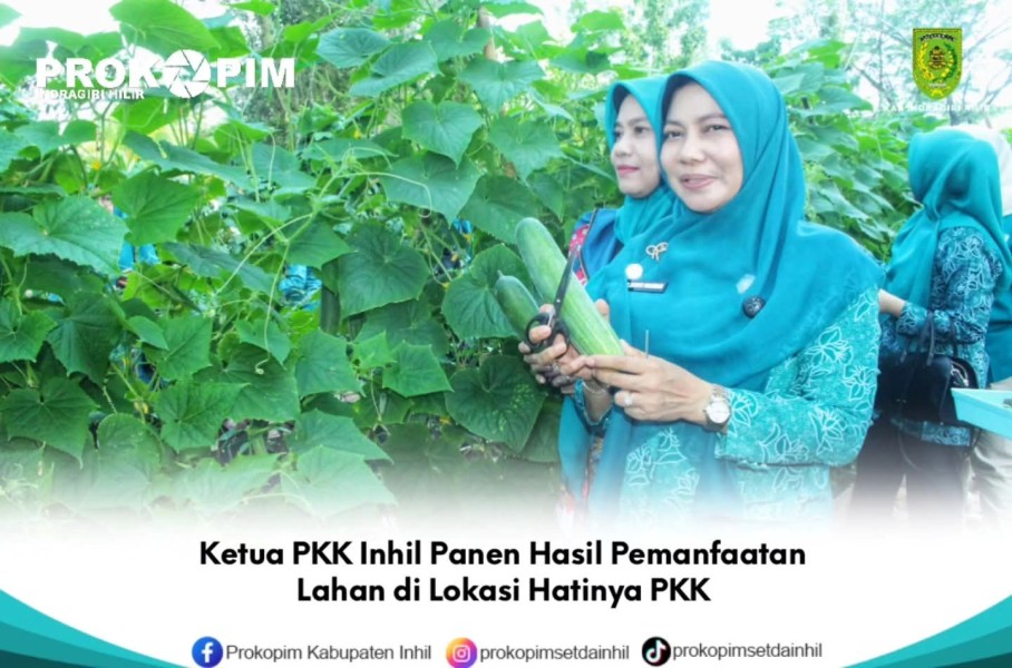 Ketua PKK Inhil Panen Hasil Pemanfaatan Lahan di Lokasi Hatinya PKK