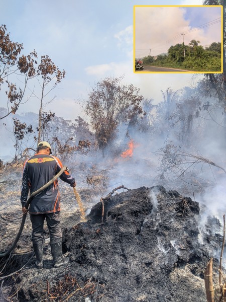 Api Kembali Menyala Saat Proses Pendinginan Kebakaran di Kelurahan Sungai Beringin