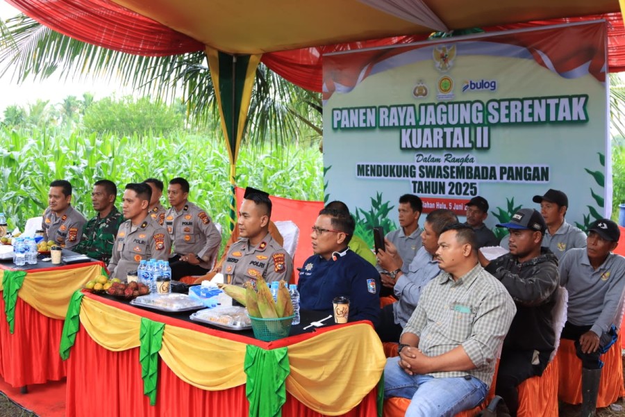 Panen Raya Jagung Serentak.